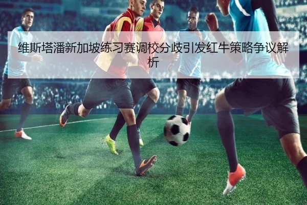 维斯塔潘新加坡练习赛调校分歧引发红牛策略争议解析